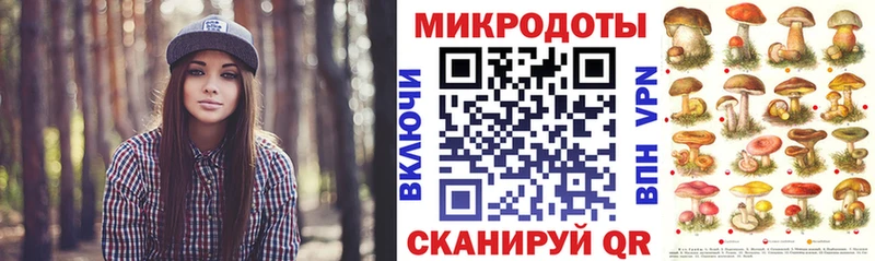 купить наркотики сайты  darknet клад  Галлюциногенные грибы мухоморы  Иваново 